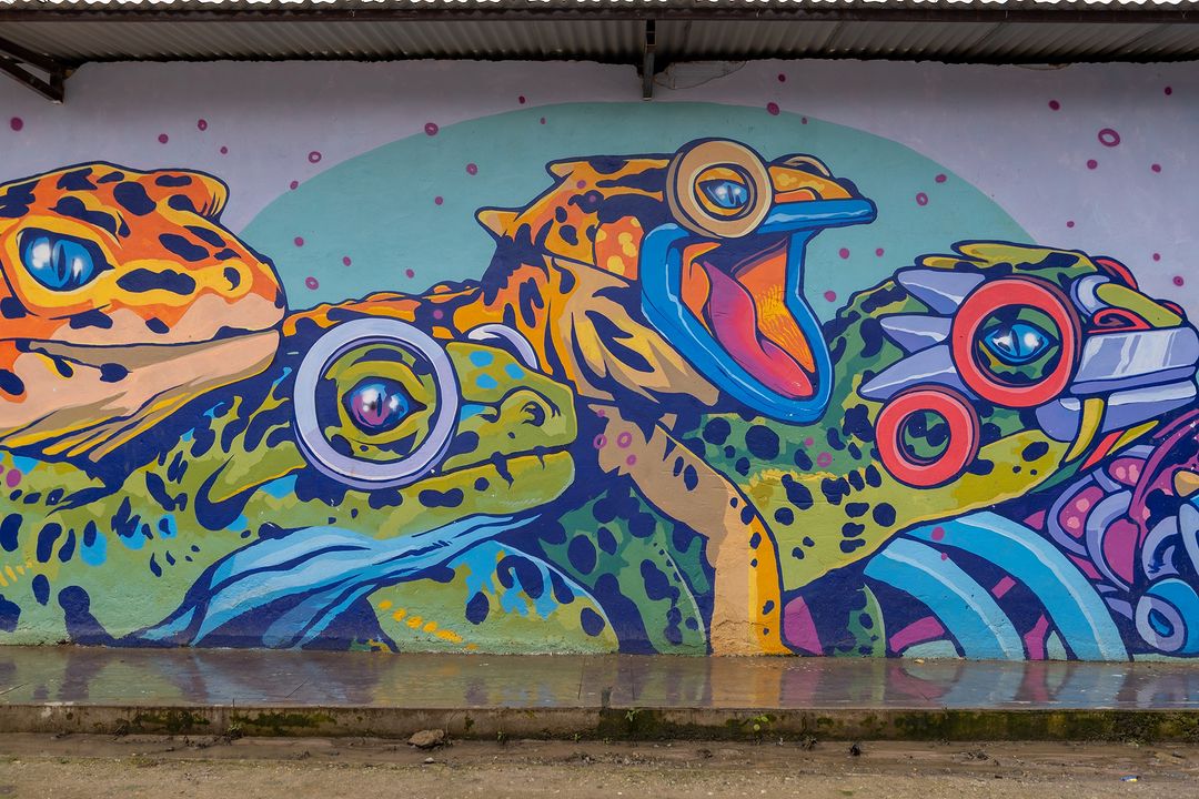 FIASCO @ Moyobamba, Peru