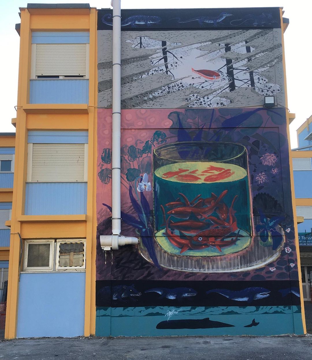 Hitnes @ Rome, Italy