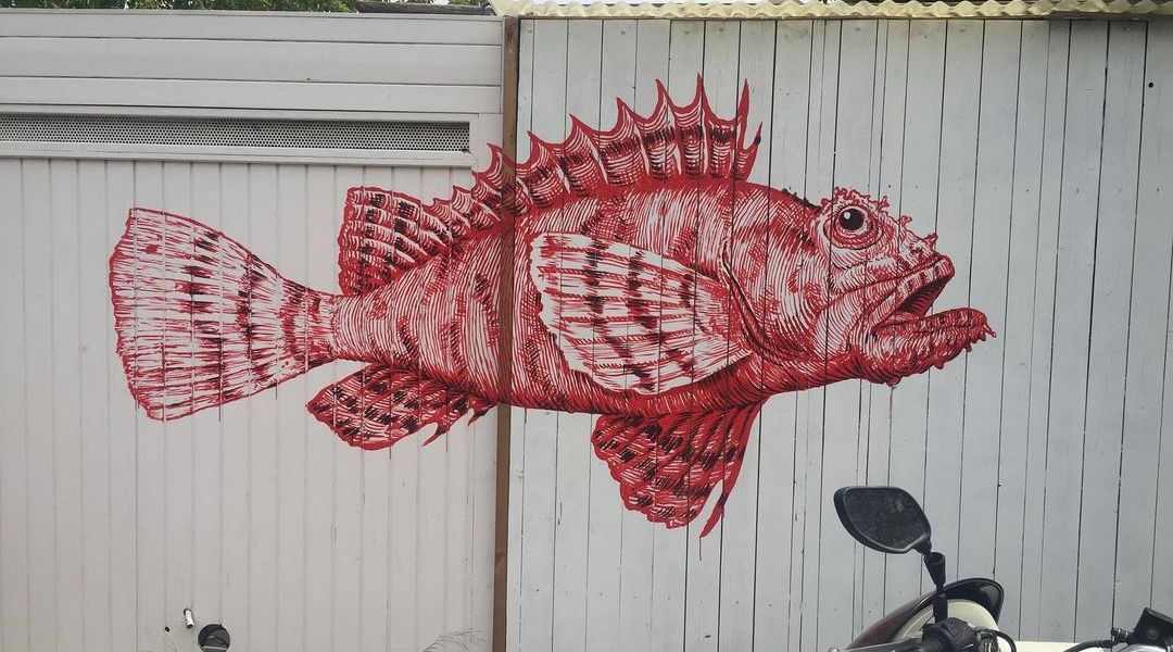 Ilich Roimeser @ Girona, Spain