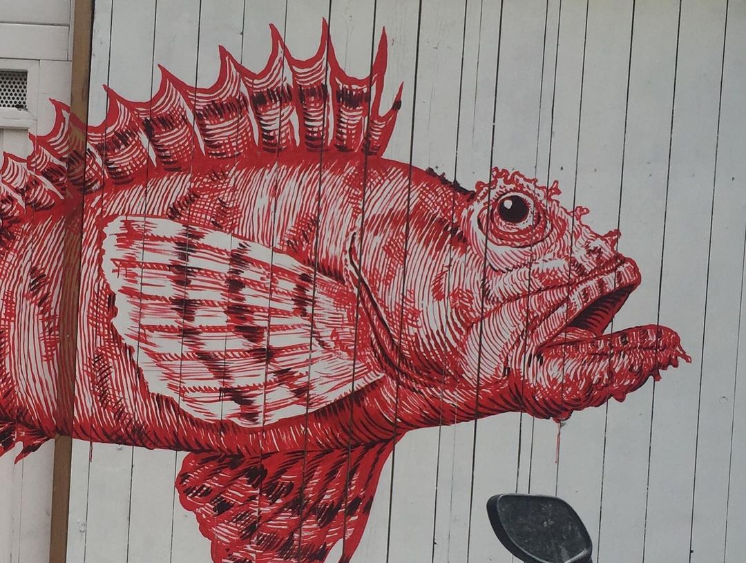 Ilich Roimeser @ Girona, Spain