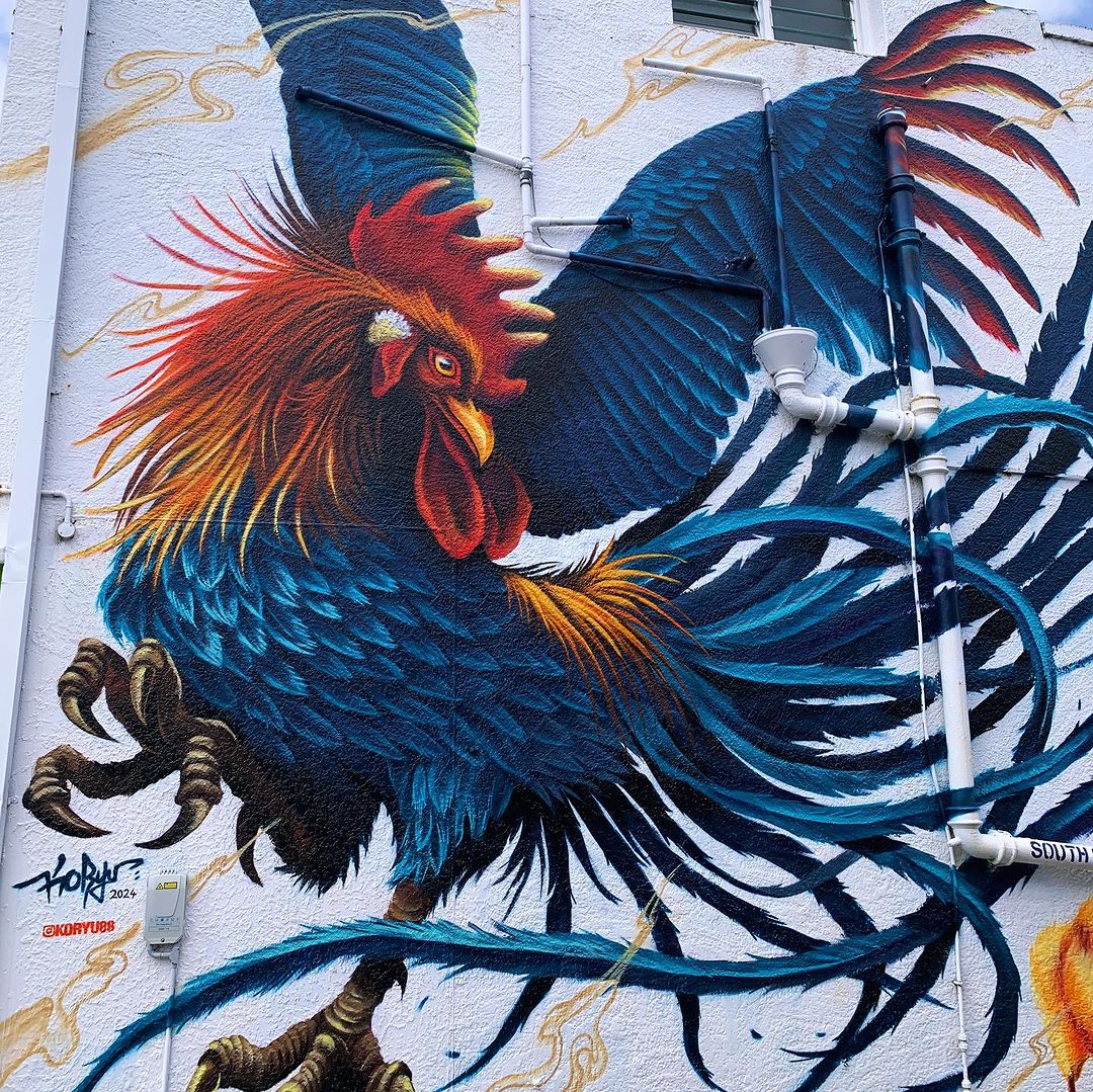 KORYU @ Winton, New Zealand