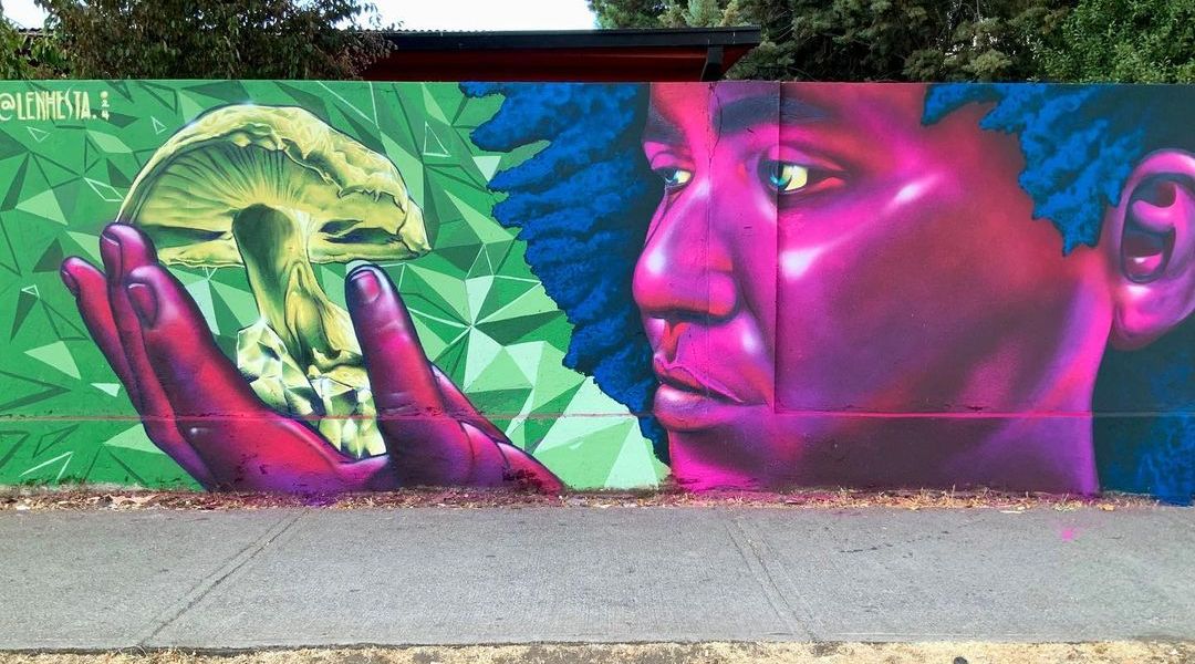 NHESTA @ Chillan, Chile