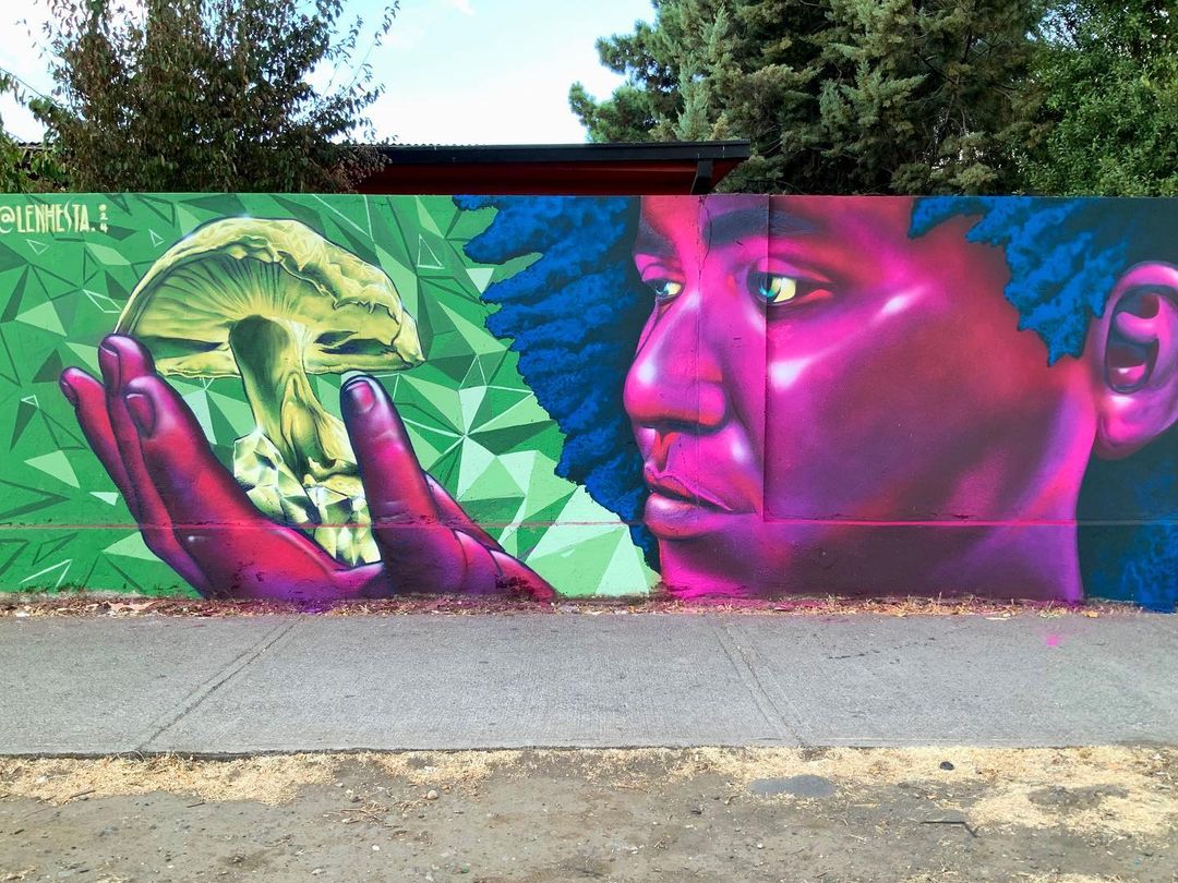 NHESTA @ Chillan, Chile