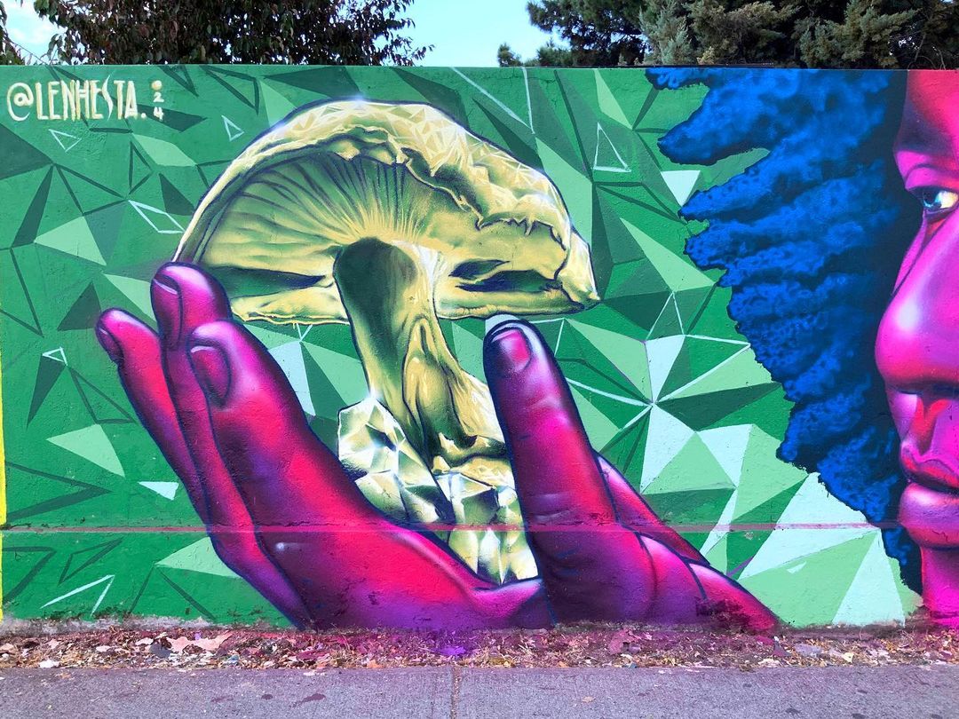 NHESTA @ Chillan, Chile