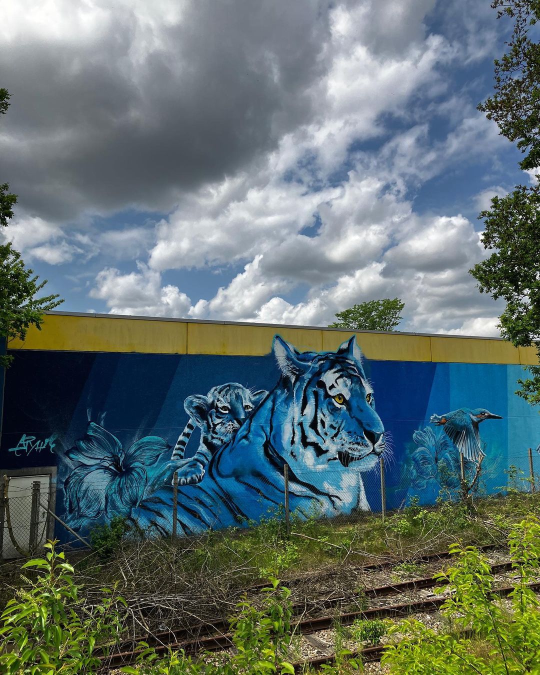 Noah Bergander + Dennis Fauter @ Rendsburg, Germany