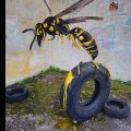 Odeith @ Portugal