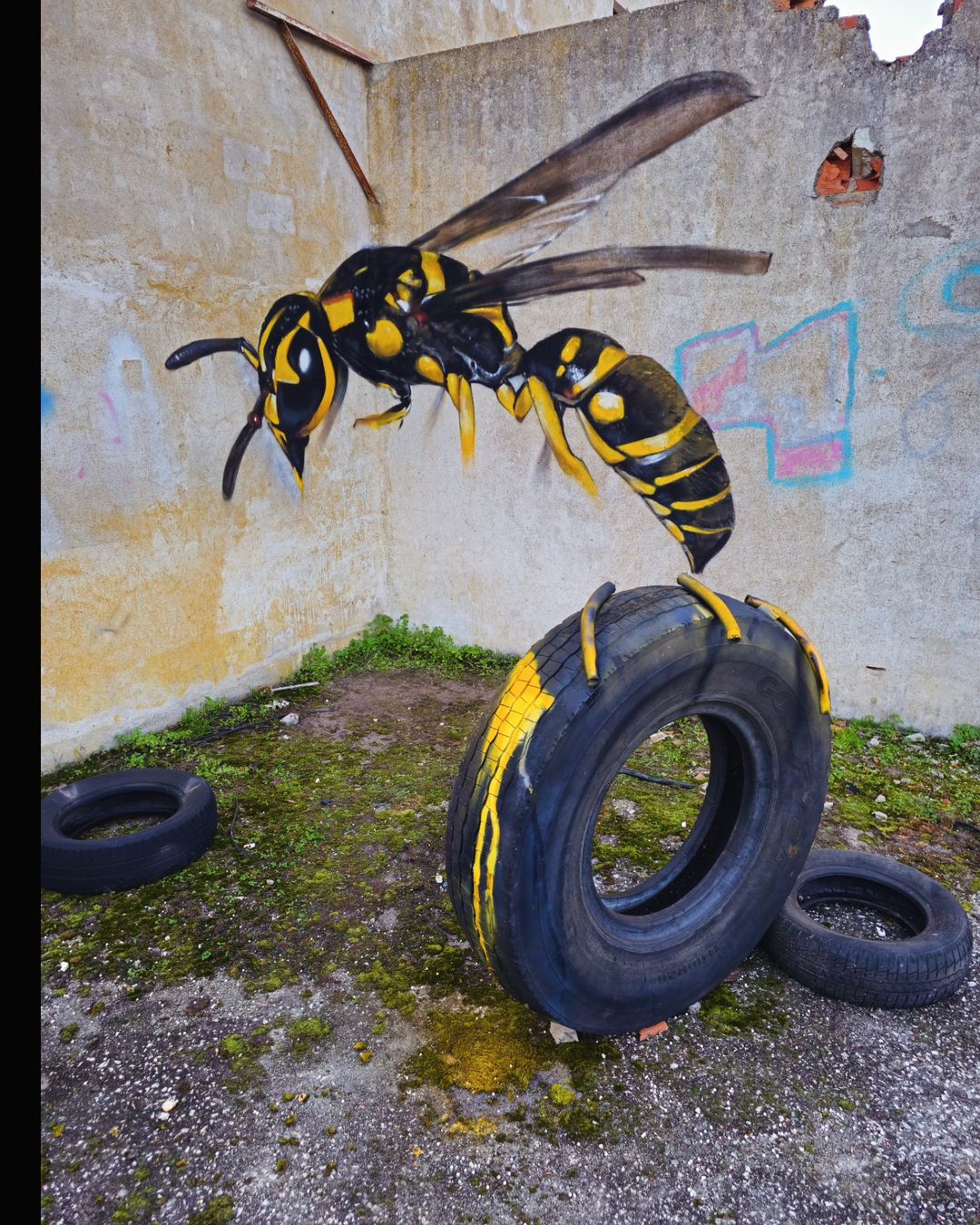 Odeith @ Portugal
