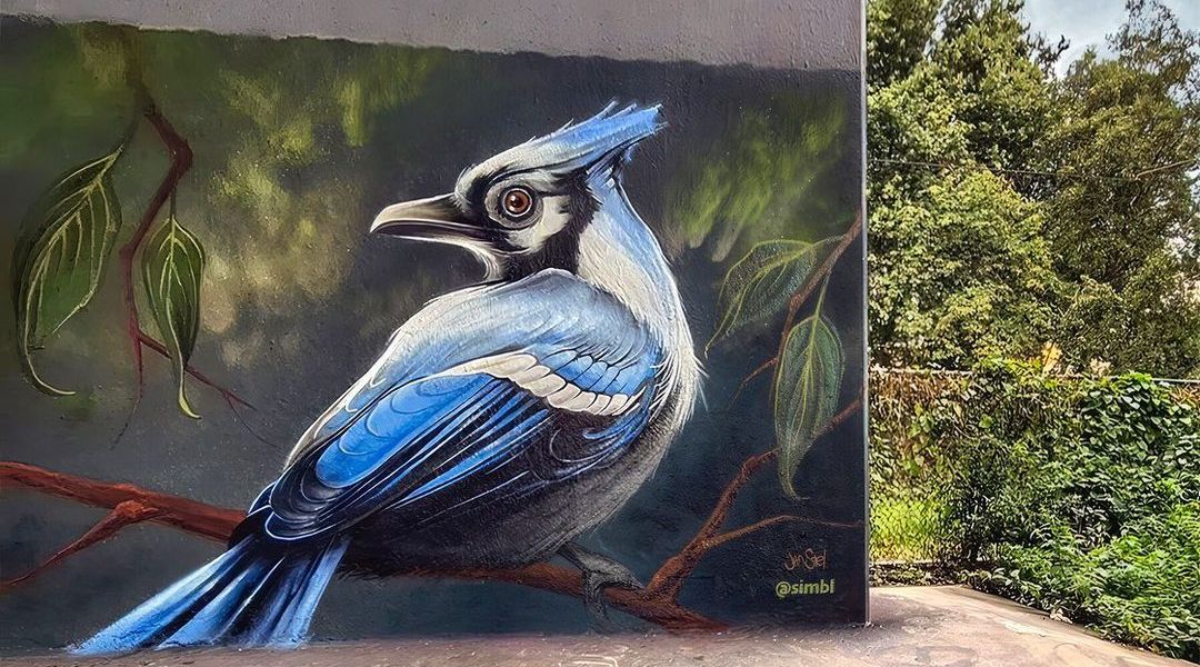 SIMBL @ Amsterdam, Netherlands