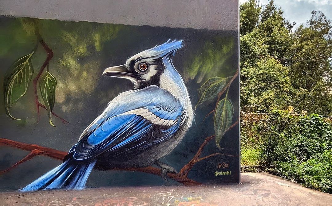 SIMBL @ Amsterdam, Netherlands