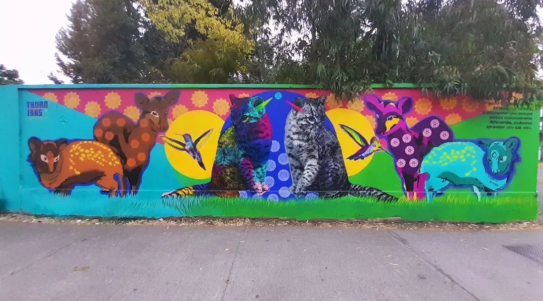 THORN @ Chillan, Chile