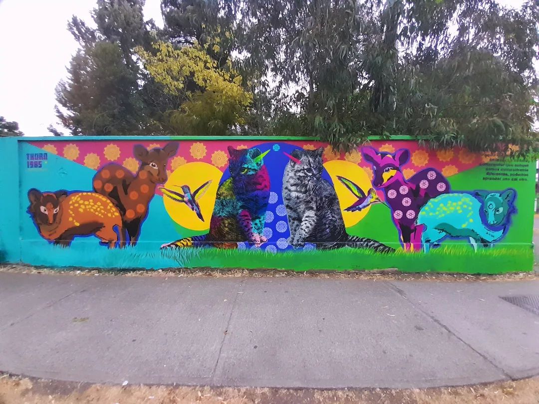 THORN @ Chillan, Chile