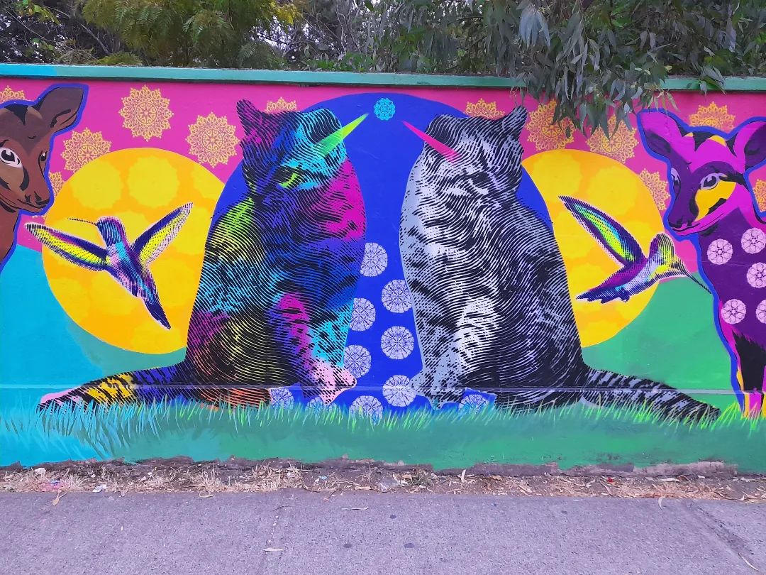 THORN @ Chillan, Chile