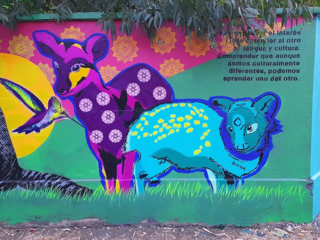 THORN @ Chillan, Chile