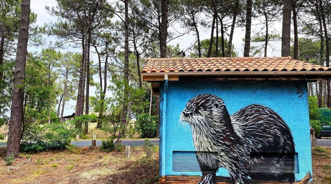 A-MO @ Bombannes, France