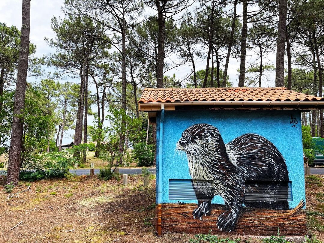 A-MO @ Bombannes, France