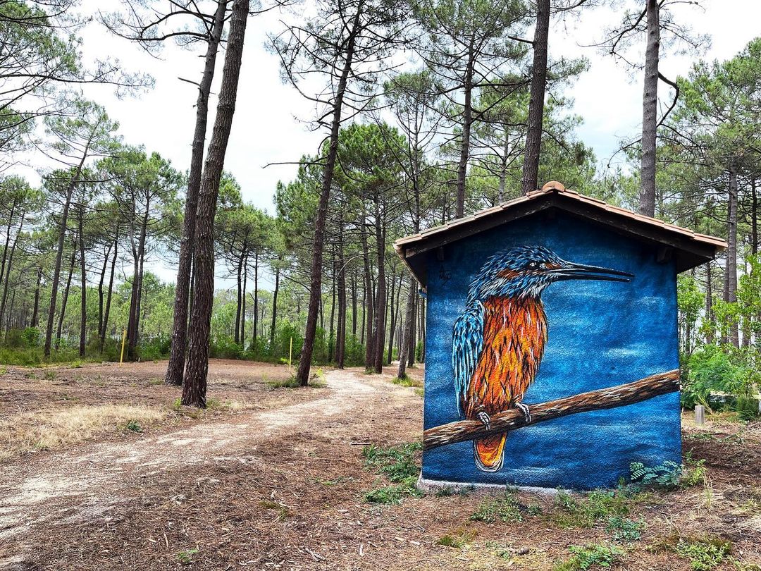 A-MO @ Bombannes, France