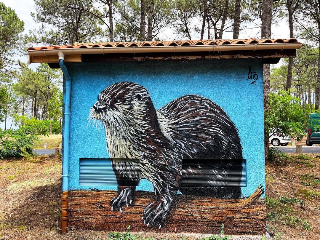 A-MO @ Bombannes, France