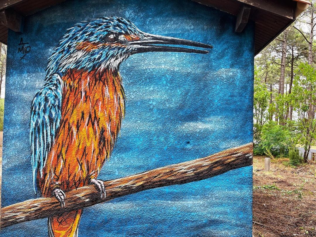 A-MO @ Bombannes, France