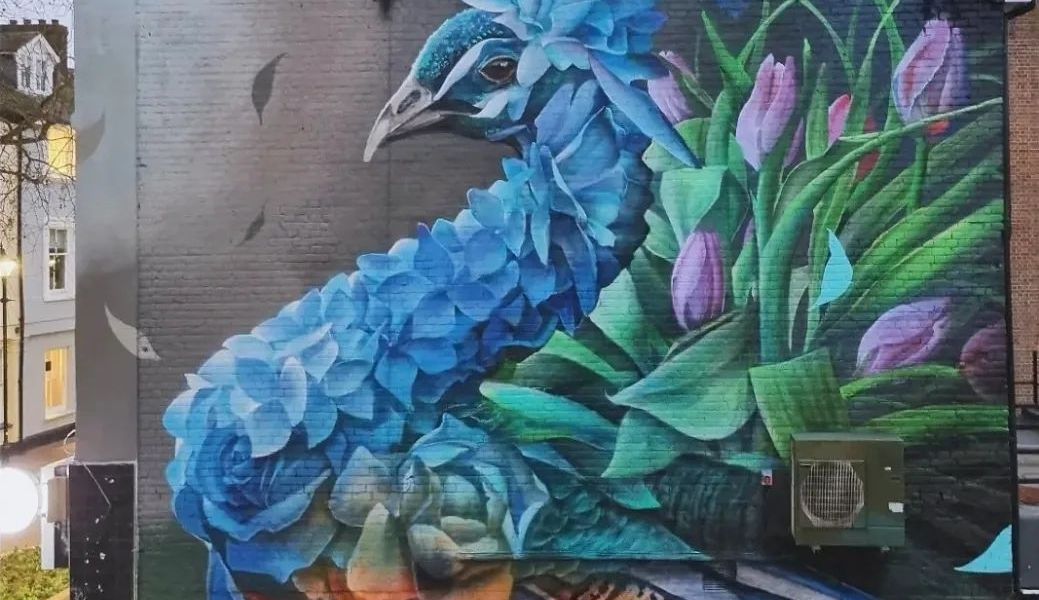 Curtis Hylton @ Ashford, UK