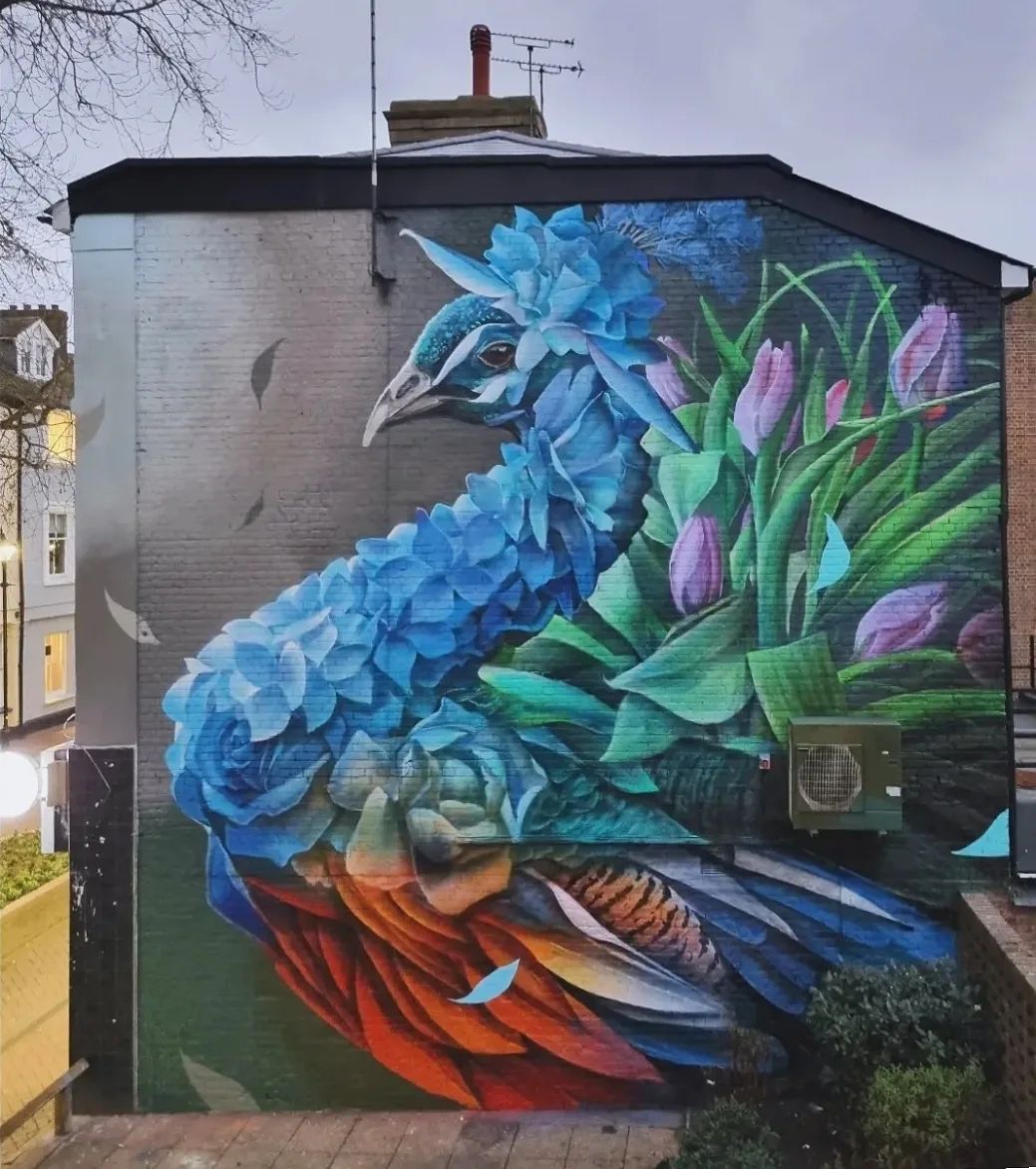 Curtis Hylton @ Ashford, UK