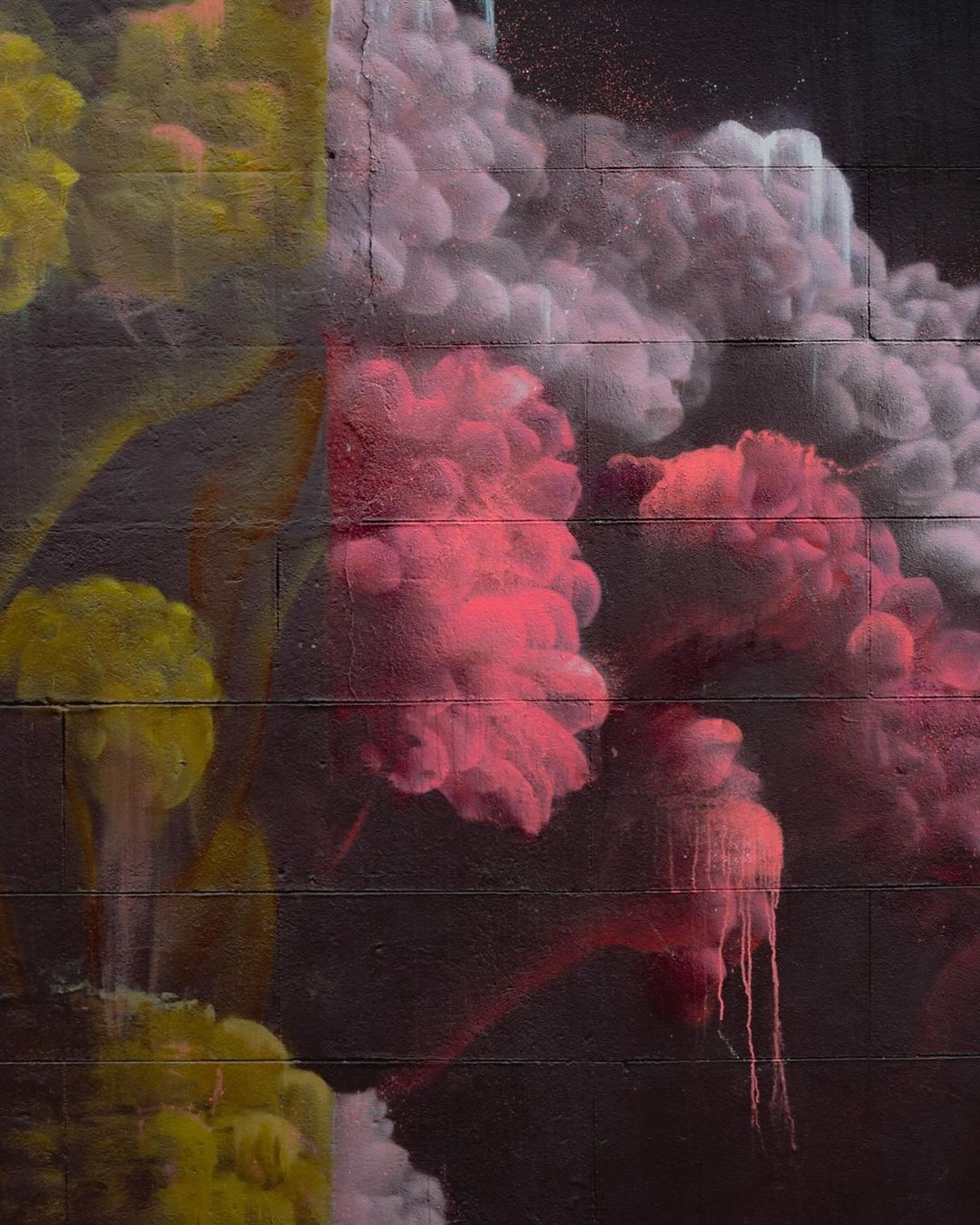 Emic + Alana Barton @ Carrickfergus, Northern Ireland, UK