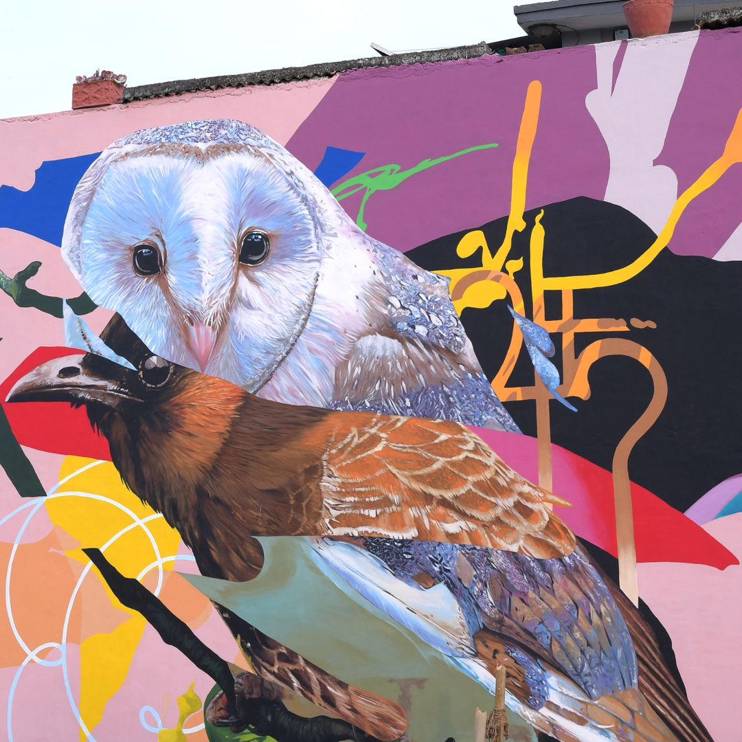 H11235 @ Kathmandu, Nepal