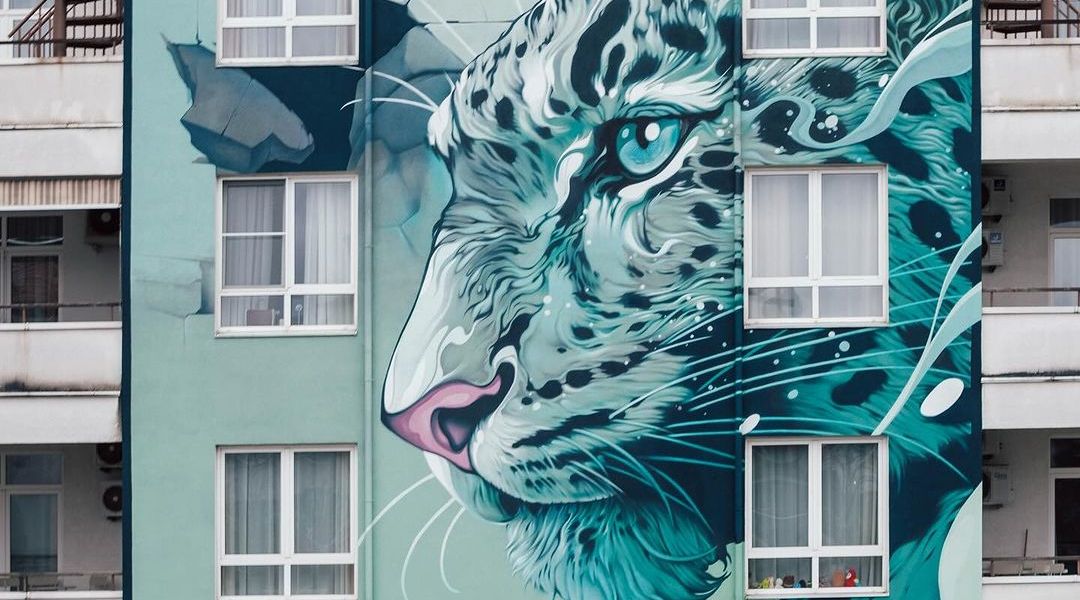 Kalouf @ Soči, Russia