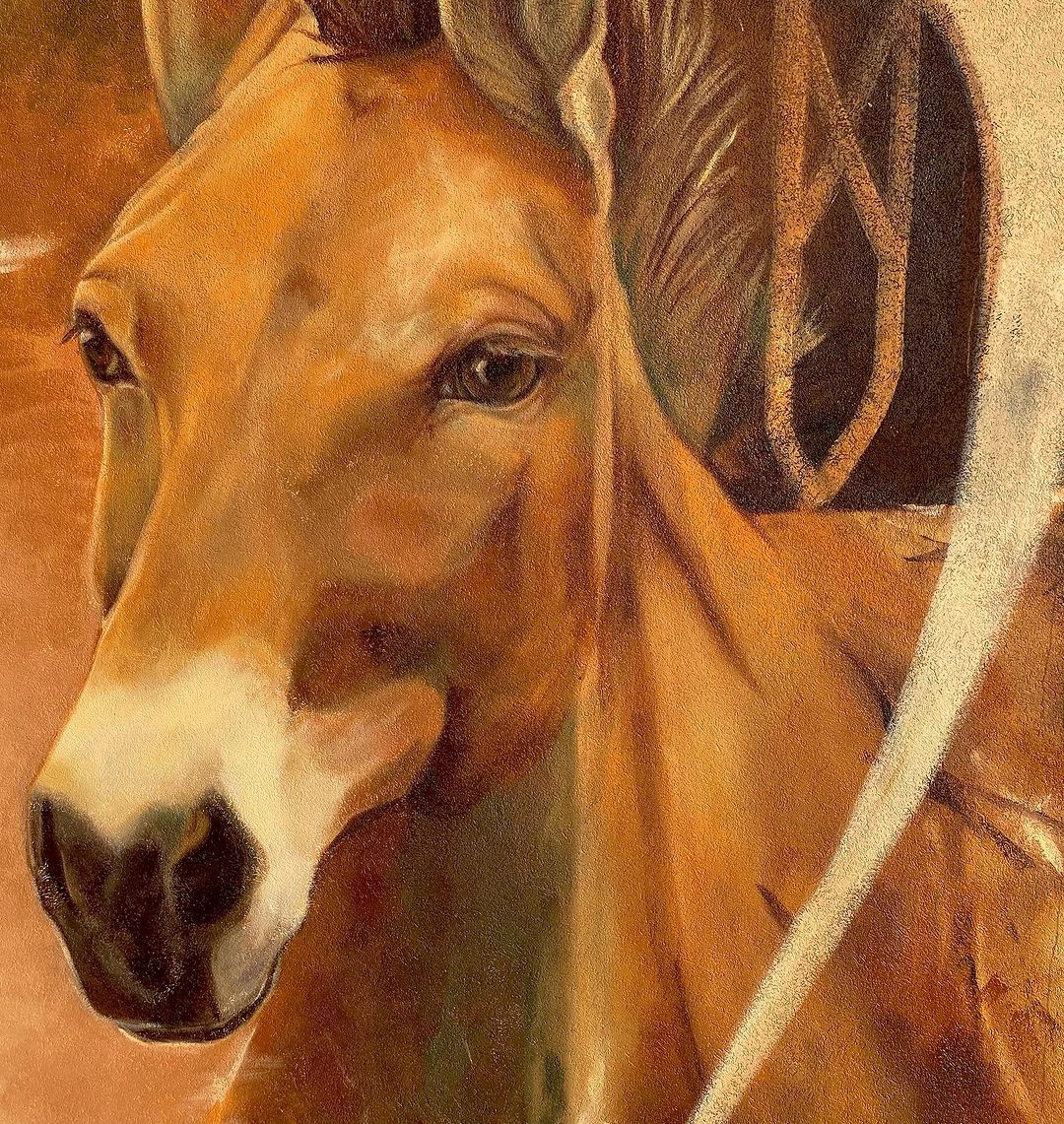 Margot @ Bessèges, France