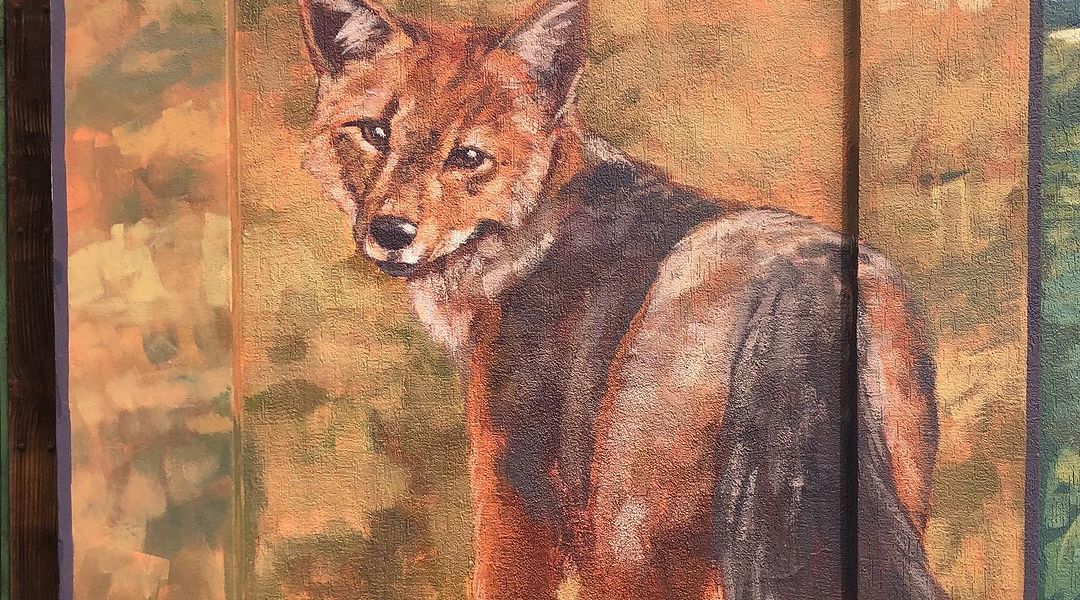 Naath @ Quillota, Chile