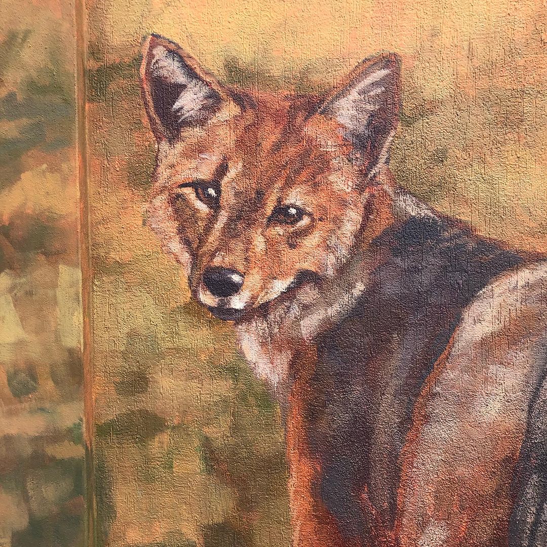 Naath @ Quillota, Chile