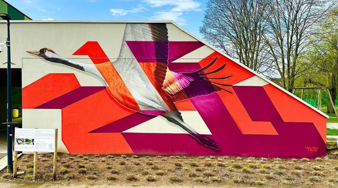 TUZQ @ Tessenderlo, Belgium