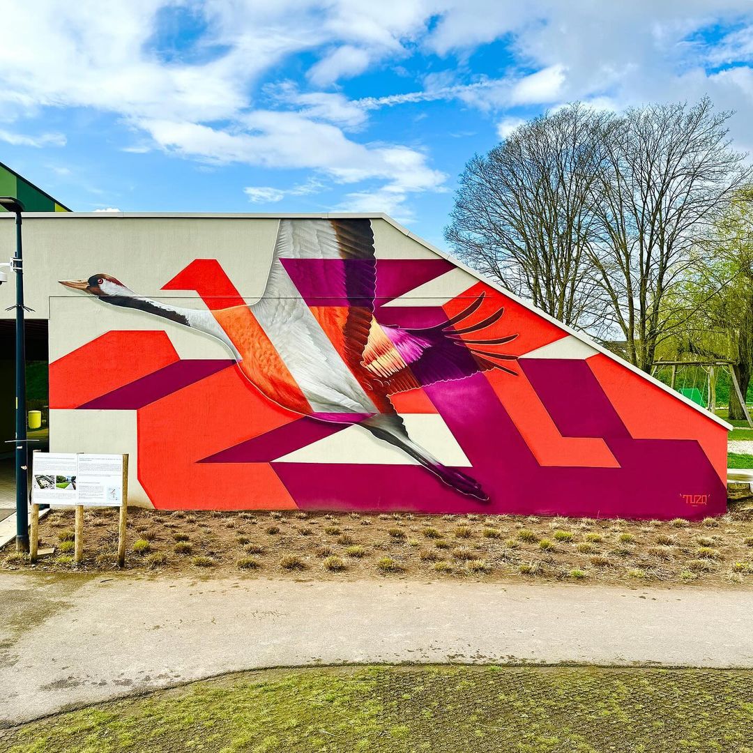 TUZQ @ Tessenderlo, Belgium