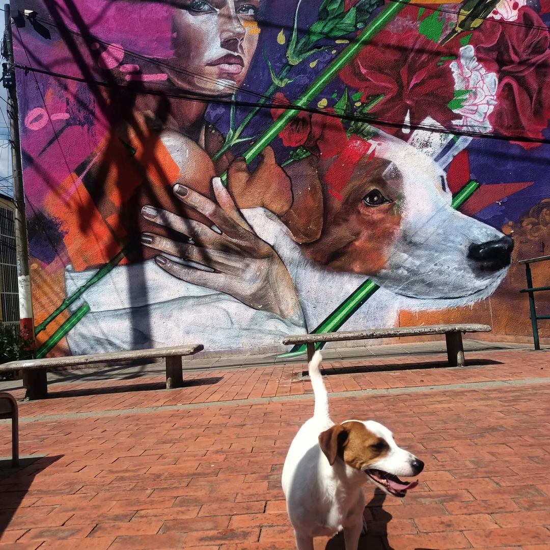 DEXS @ Bogota, Colombia