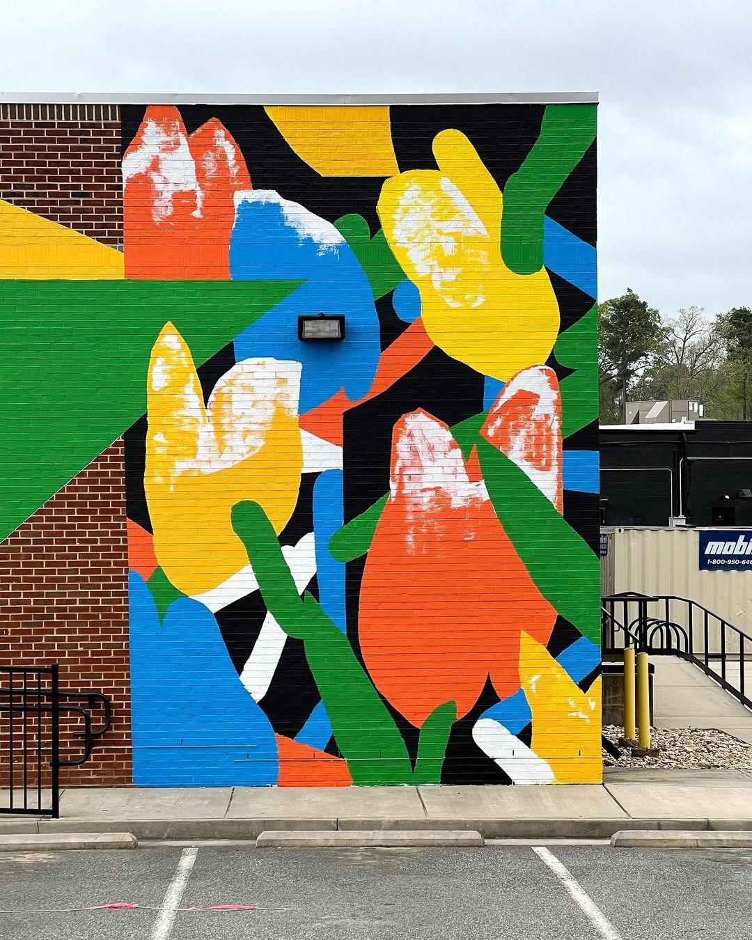 Murone @ Williamsburg, Virginia, USA