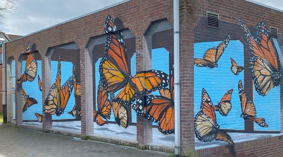 Toon Van Ishoven @ Tienen, Belgium