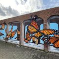 Toon Van Ishoven @ Tienen, Belgium