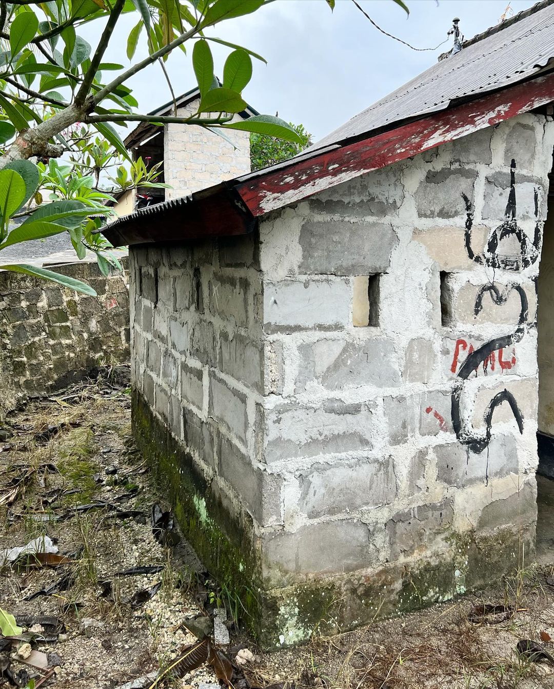 Wild Drawing @ Bali, Indonesia