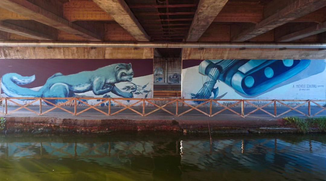 Ericailcane @ Cagliari, Italy