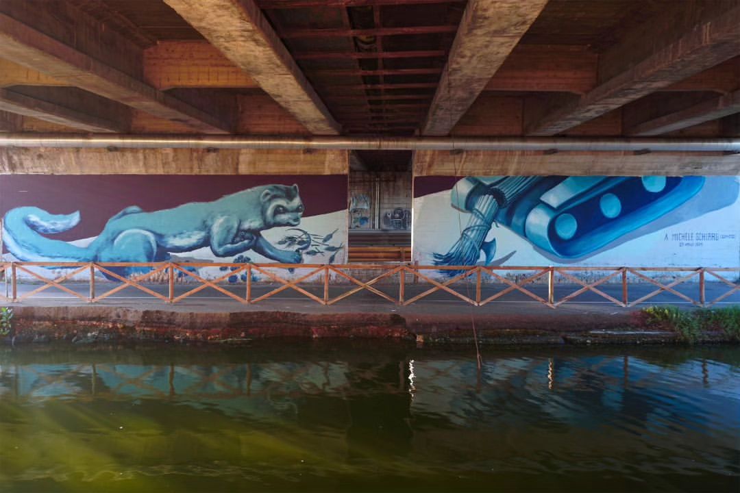 Ericailcane @ Cagliari, Italy