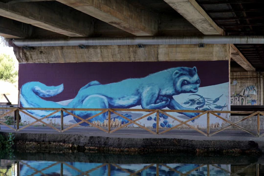 Ericailcane @ Cagliari, Italy