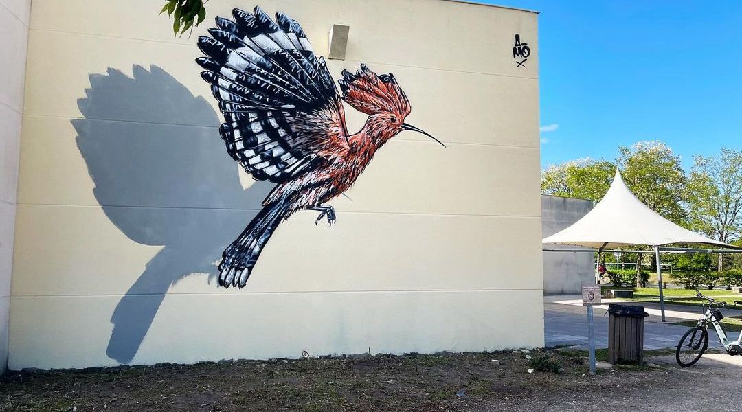 A-MO @ Eysines, France