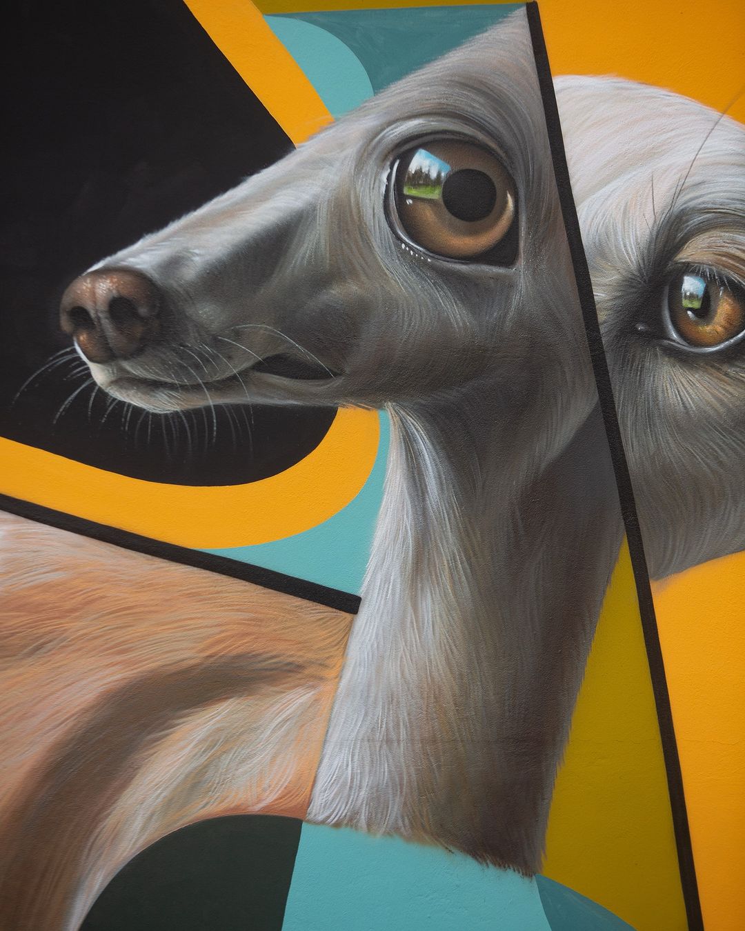 Belin @ Grenoble, France