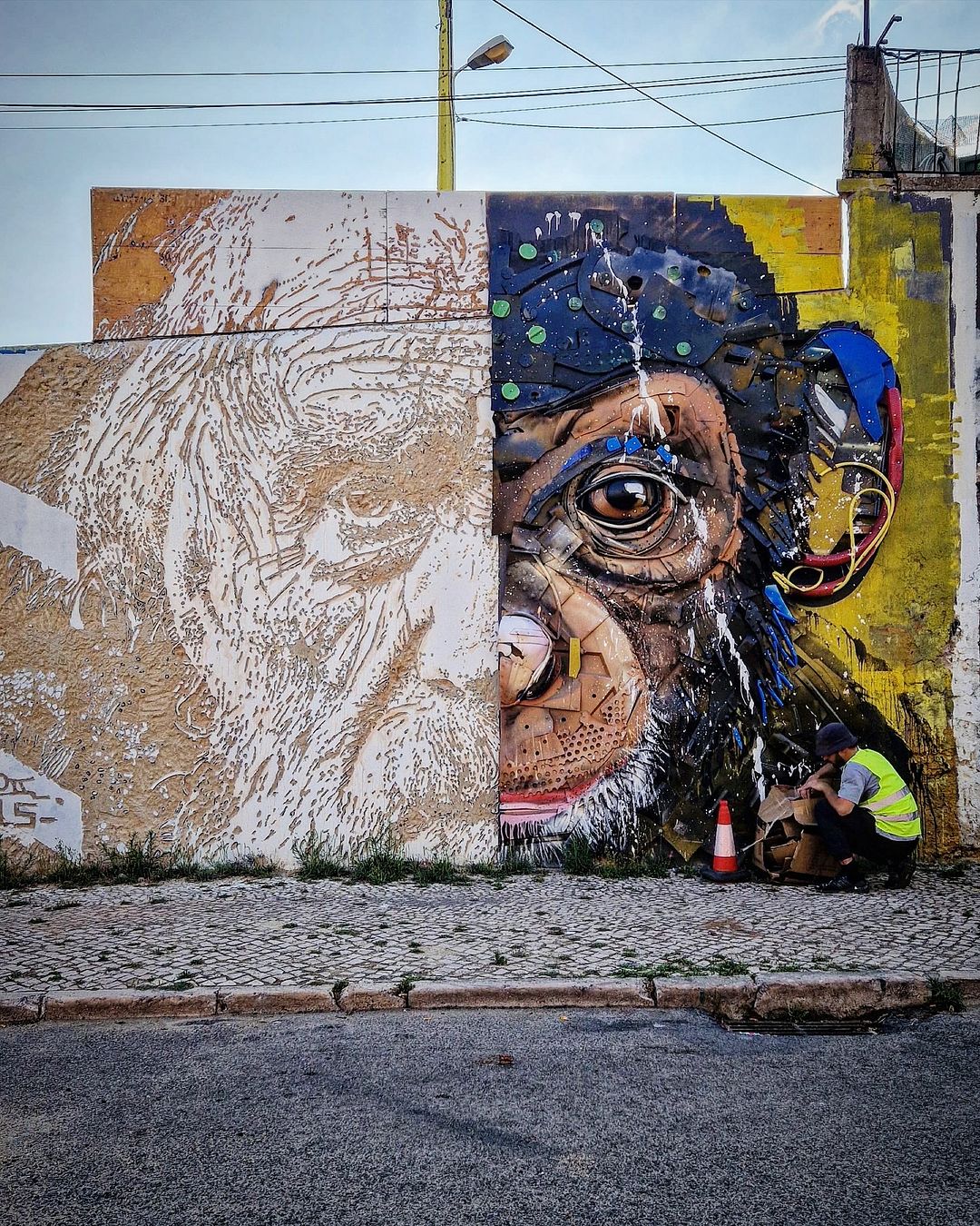 Bordalo II + Vhils @ Lisbon, Portugal
