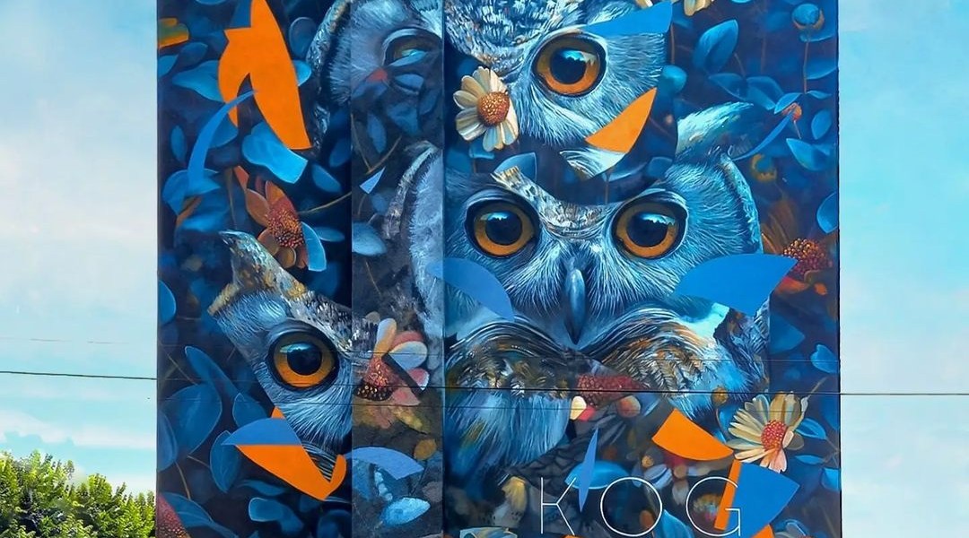 Matthieu Koga @ Laon, France