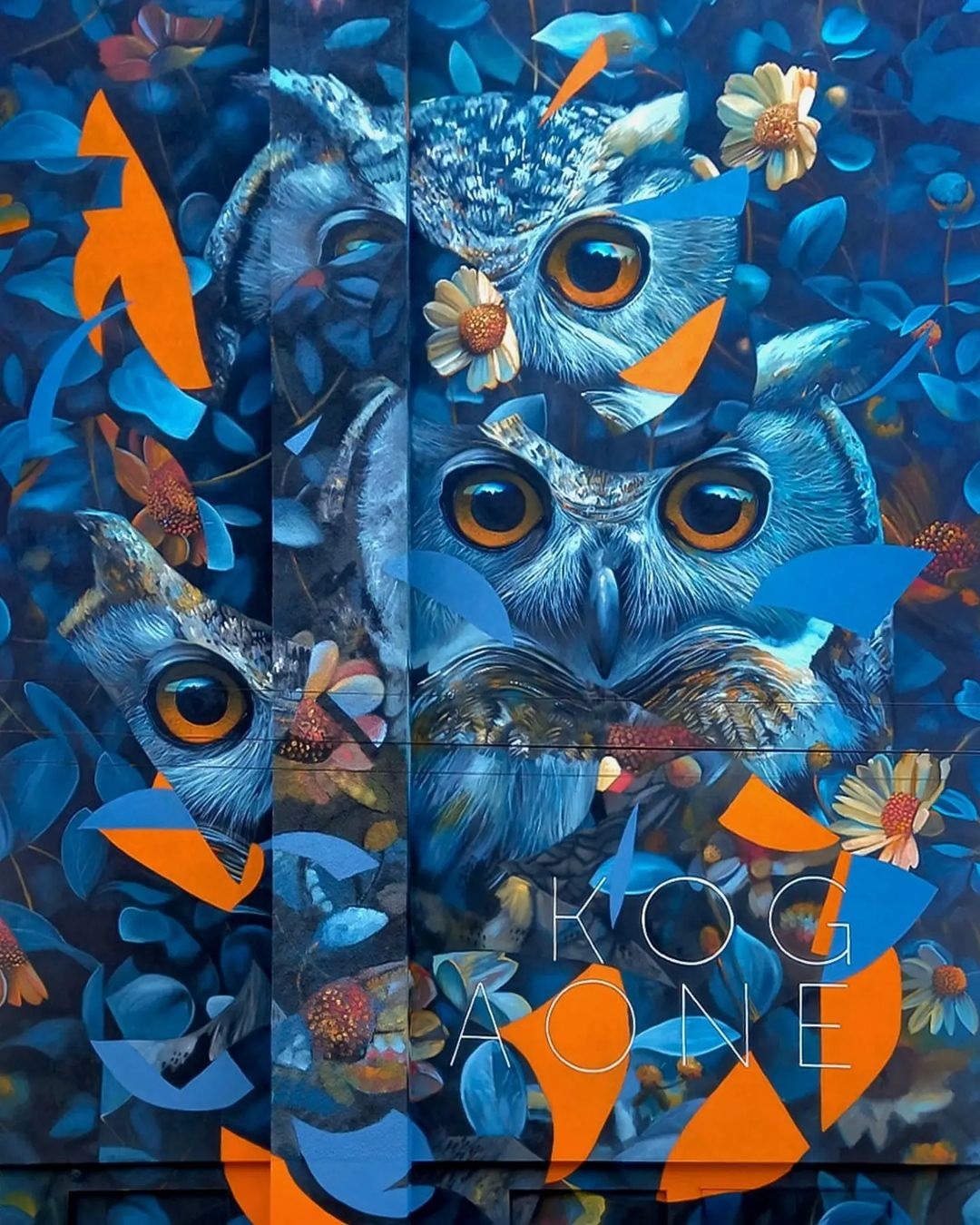 Matthieu Koga @ Laon, France