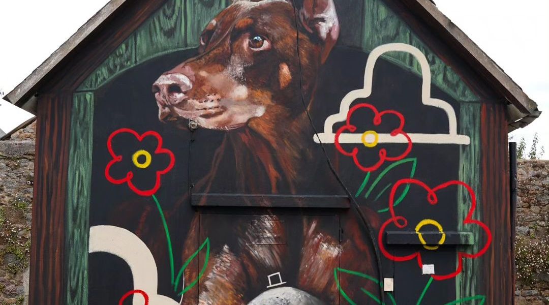 Naga @ Saint-Brieuc, France