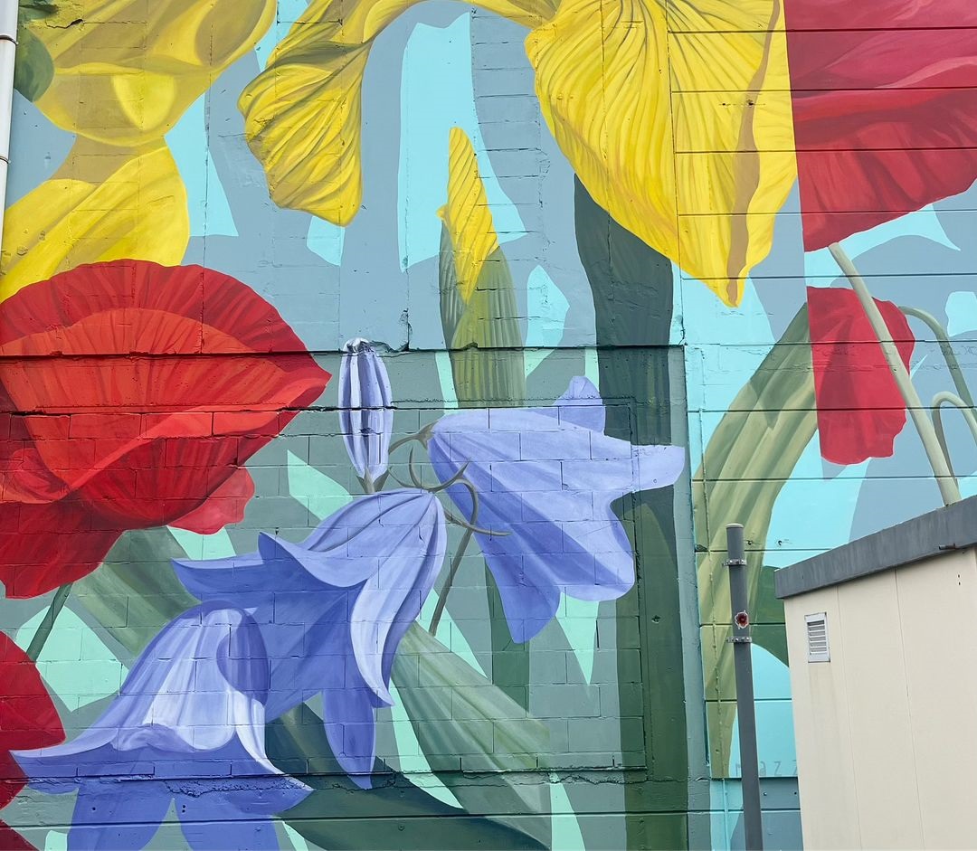 Thiago Mazza @ Hasselt, Belgium